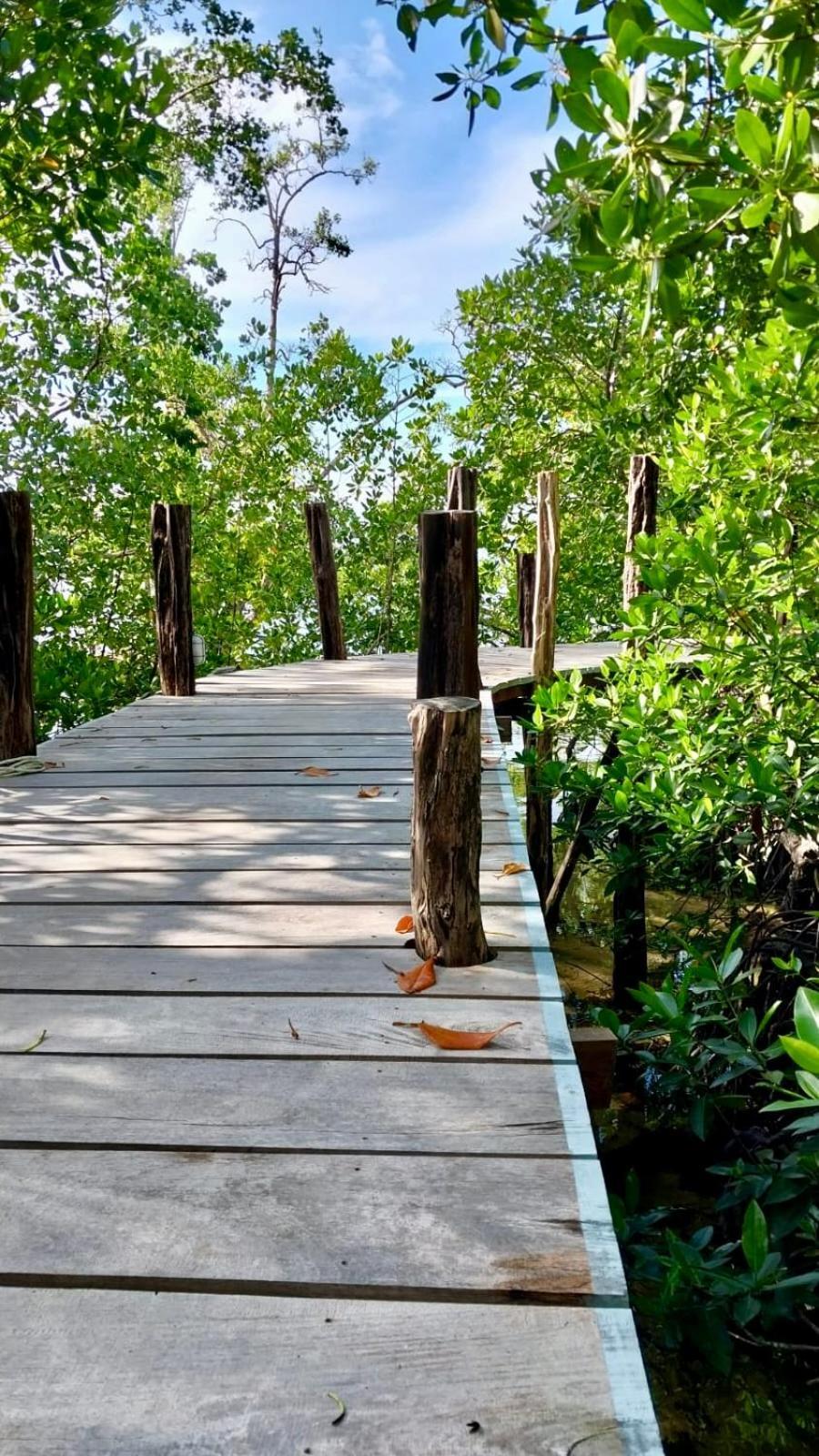 Villa Luzo & Tours Saonek Buitenkant foto