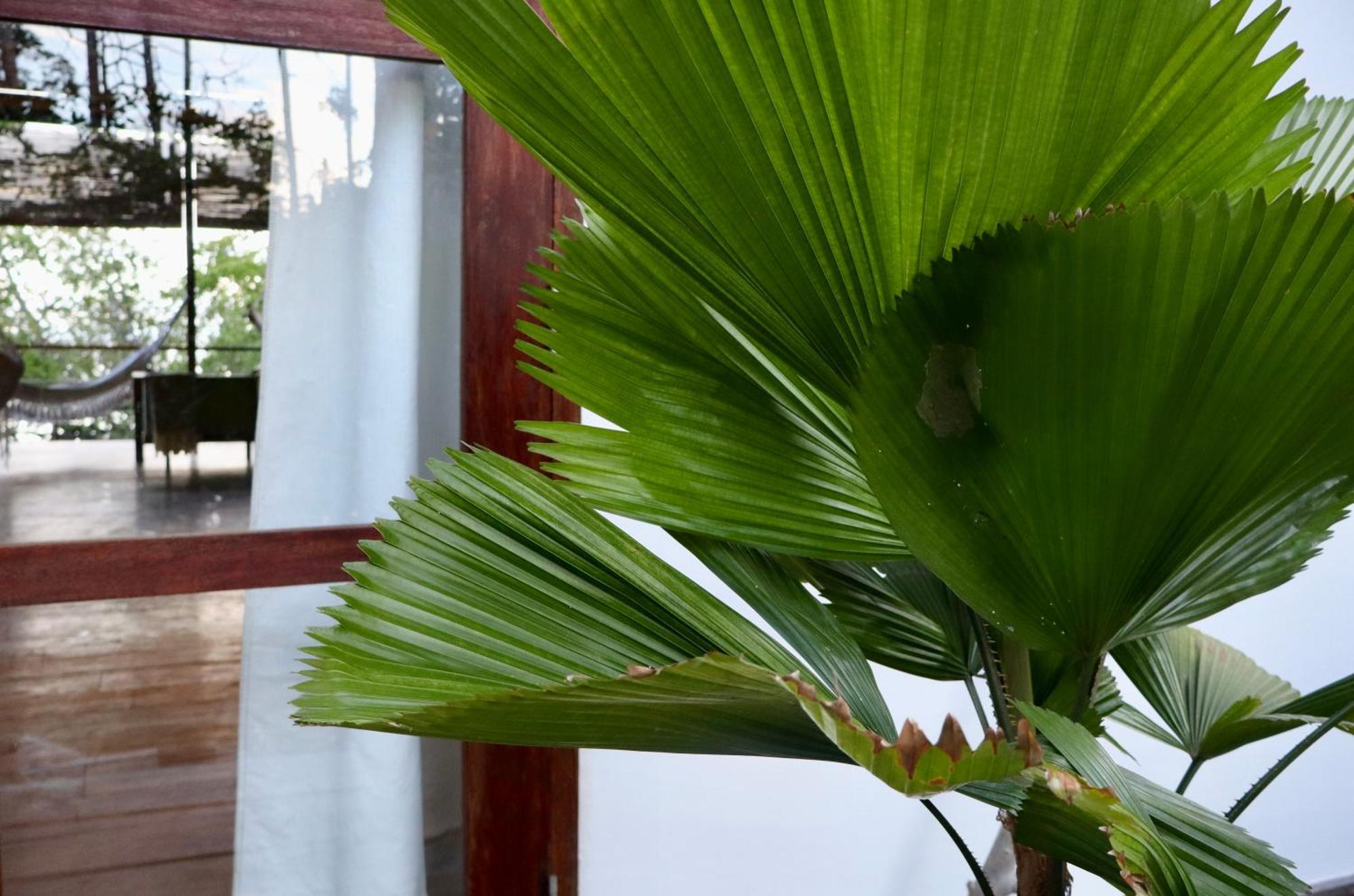 Villa Luzo & Tours Saonek Buitenkant foto
