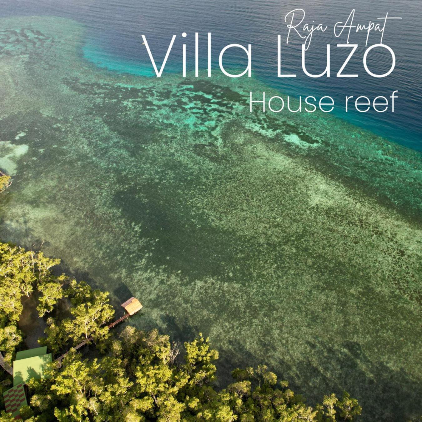 Villa Luzo & Tours Saonek Buitenkant foto